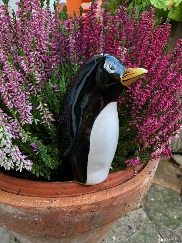 "Röhrenheini" Pinguin - frostbeständig